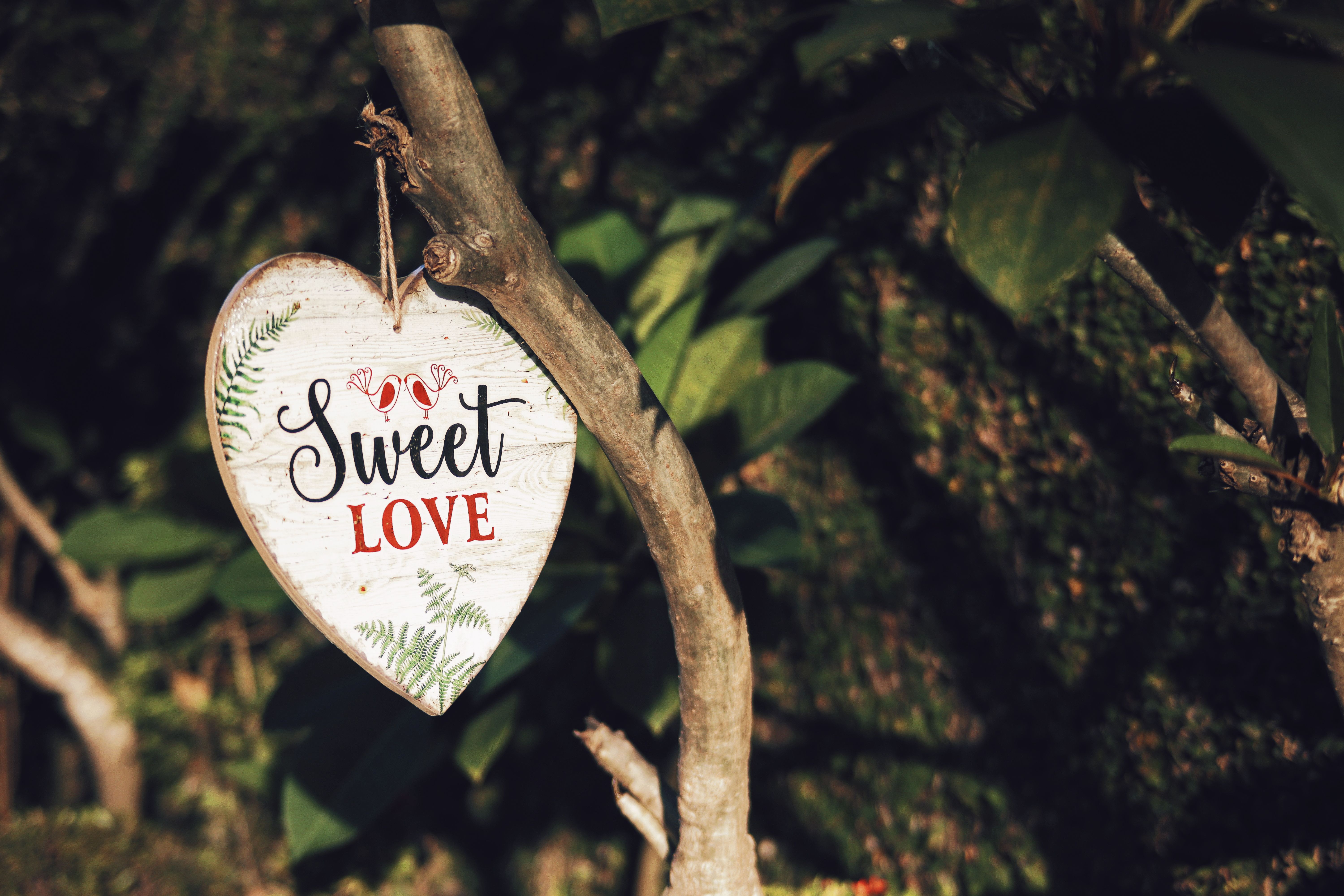 holiday love ornament