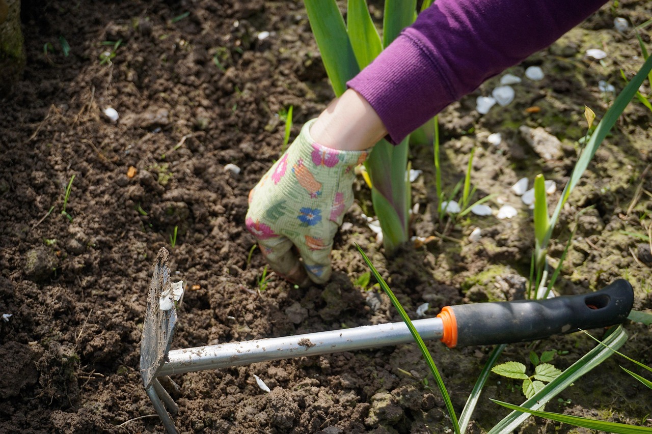 close up of gardening