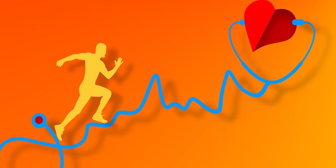 heart and stethoscope